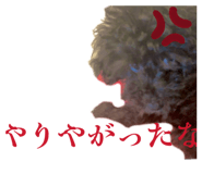 858037021