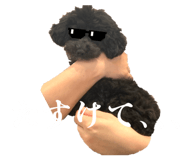 858037023