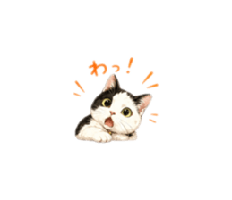858037534