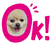858038574