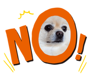 858038575