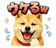 858038627