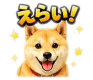 858038629