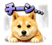 858038649