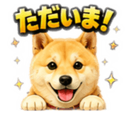 858038654