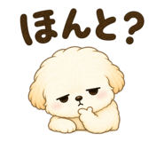858038755