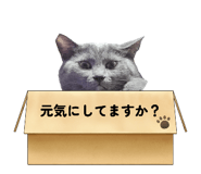 858039375
