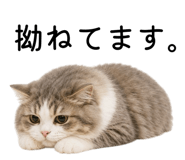 858039655