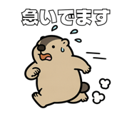 858040323