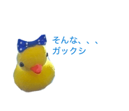 858040654