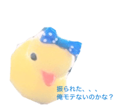 858040658