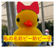 858040663