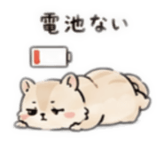 858041503