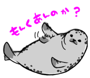 858041655
