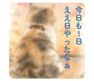 858041668