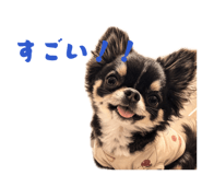 858041686