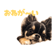 858041688