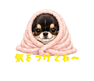 858041707