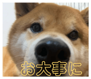 858041764