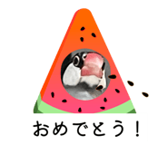 858041766