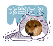 858041768