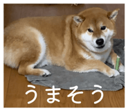 858041769