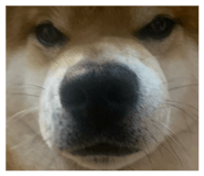 858041770