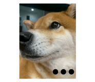 858041777