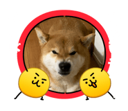 858041782