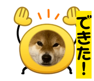 858041784