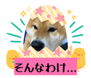 858041789