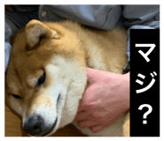 858041790