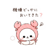 858041874