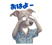 858041923