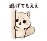 858042304