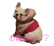 858042308