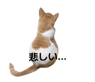 858042676