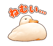 858042729