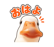 858042733
