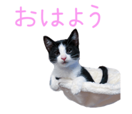 858042778