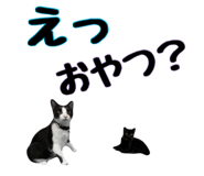 858042790