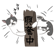 858042799