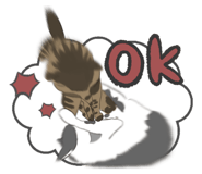 858042800