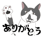 858042802
