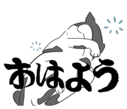 858042803