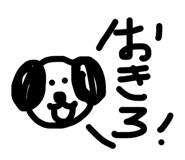 858043675