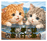 858044427