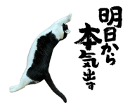 858045373