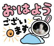 858045374