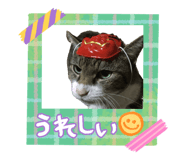 858045391